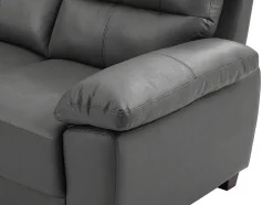 Vente-unique Tweezitsbank-Tweezitsbank Van Antracietgrijs Leer Tasani