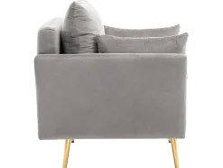 ModernLuxe Fauteuil Stof Fluweel / Suedine-Vipi Fauteuil In Fluwelen Stof Met Opbergruimte En Kussen - Poten Van Goudkleurig Metaal - Grijs