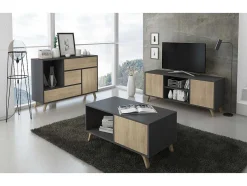Skraut Home Schoenenkast-Zapatero Furniture, Windmodel, 90X26X101.5Cm, Tegroep Hall En Hall, Grijs En Eiken, Moderne Stijl